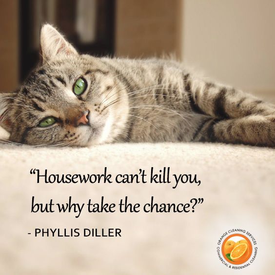 Housework won't kill you, but why take the chance? (Cat on Carpet)