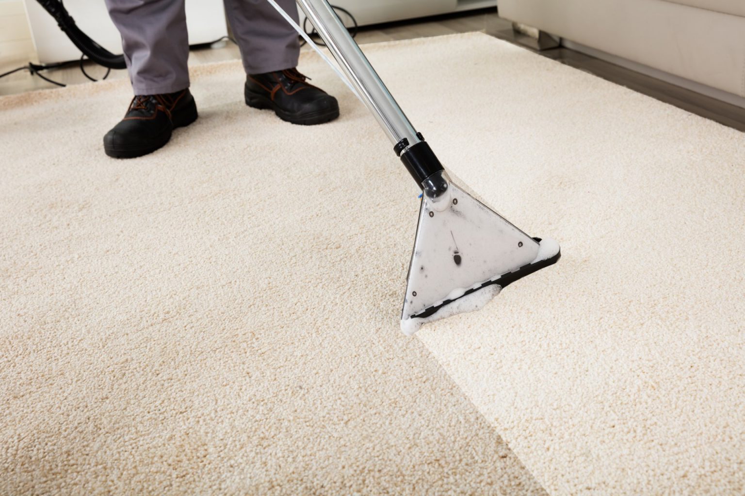 commercial-carpet-cleaning-basics-orange-cleaning-services