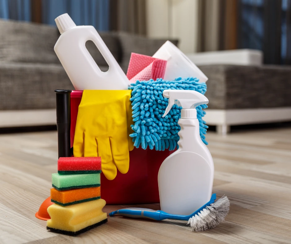image2 (3) Professional Cleaning Services
